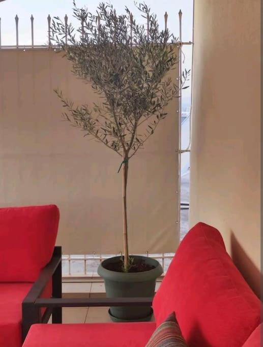 7Th Floor Spacious Veranda In The Heart Of Athen Exterior foto